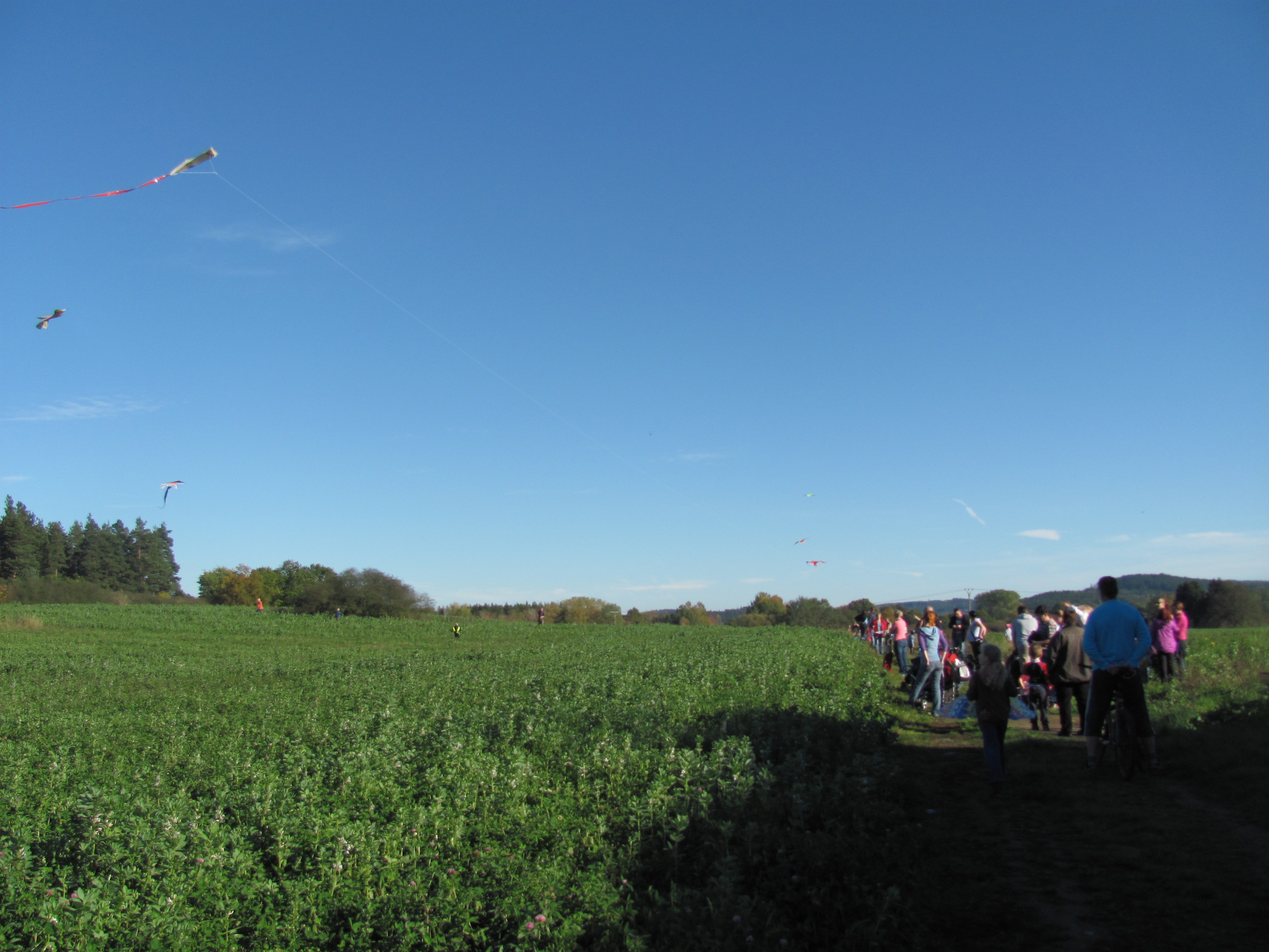 gratulace všem létajícím dakům